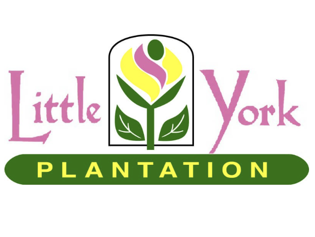 Little York Plantation